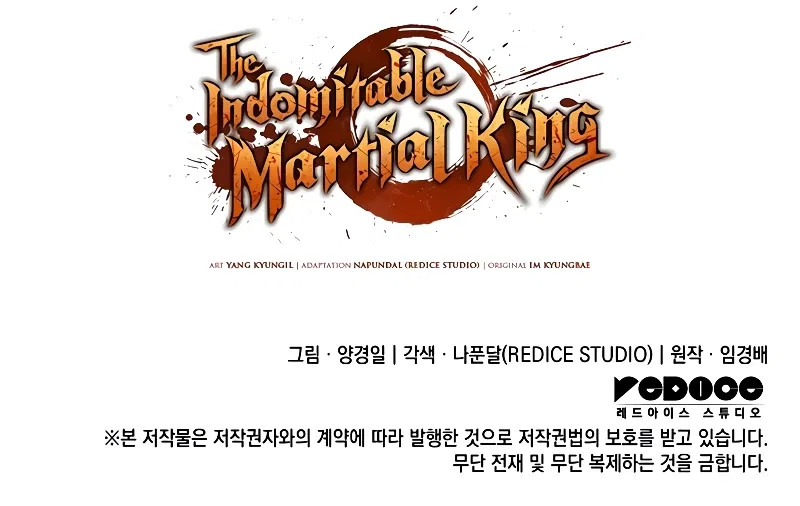 The Indomitable Martial King Chapter 29 – Page 15