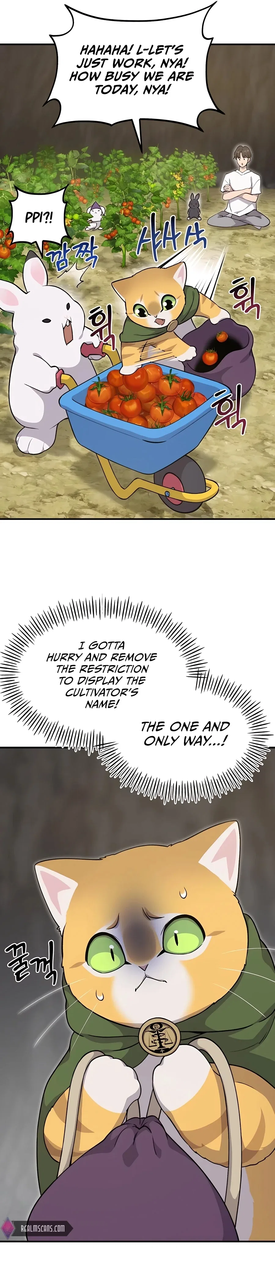 Solo Farming In The Tower Chapter 13 – Page 43