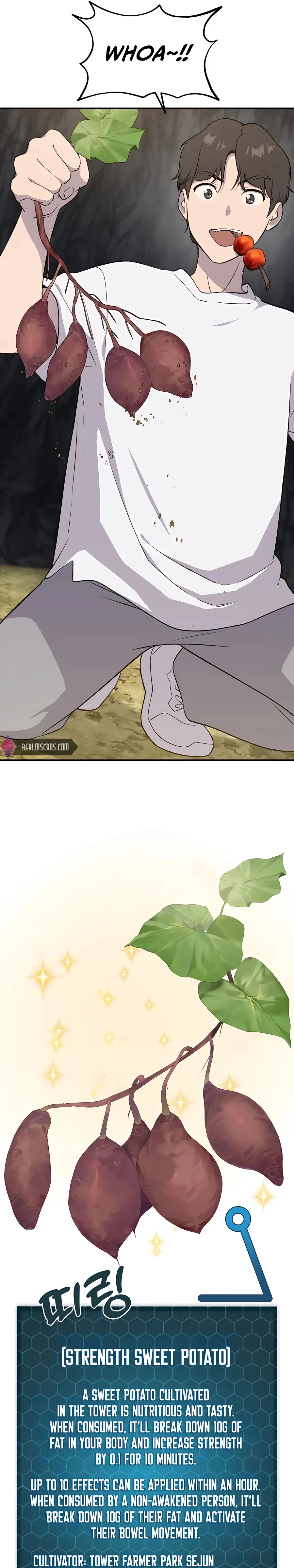 Solo Farming In The Tower Chapter 8 – Page 17