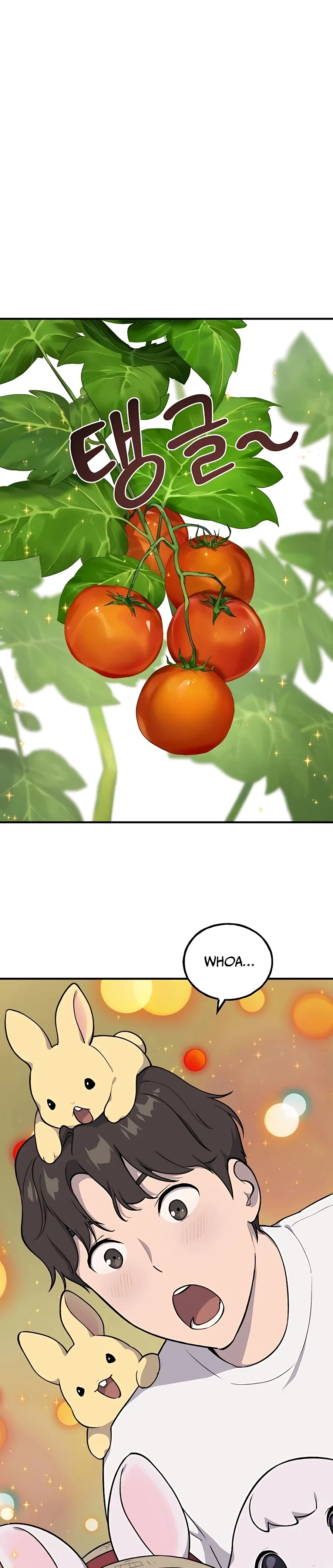 Solo Farming In The Tower Chapter 6 – Page 17