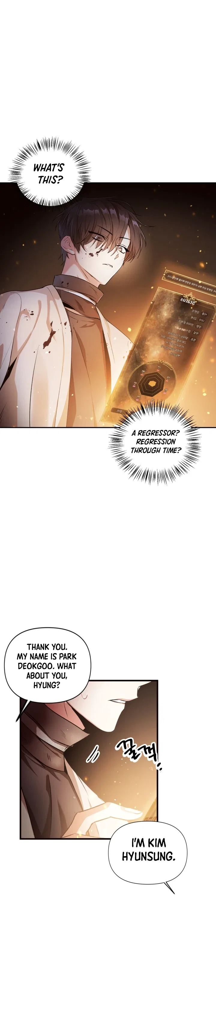 Regressor Instruction Manual Chapter 3 – Page 7