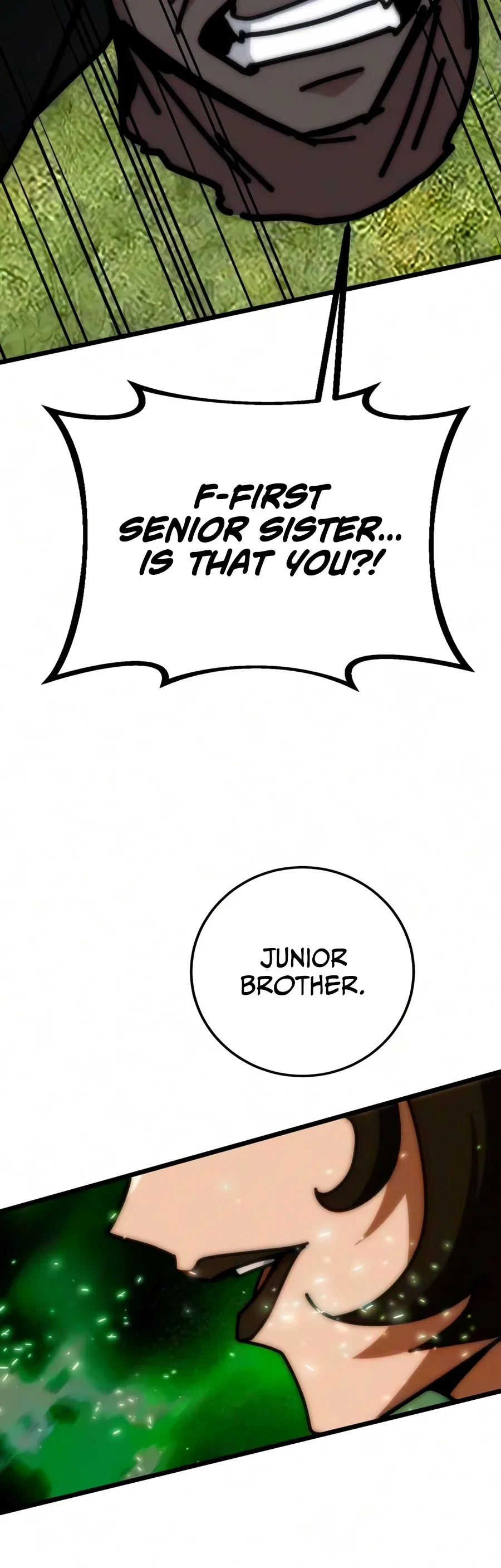 Initializing the Sect System Chapter 46 – Page 25