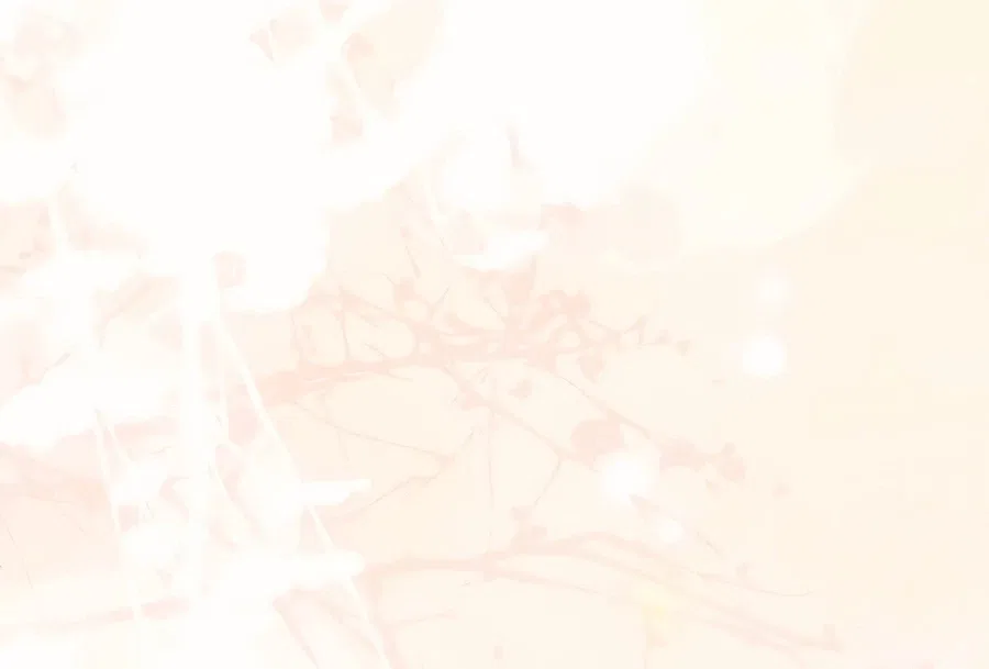 God-Tier Extra's Ultimate Guide Chapter 60 – Page 5