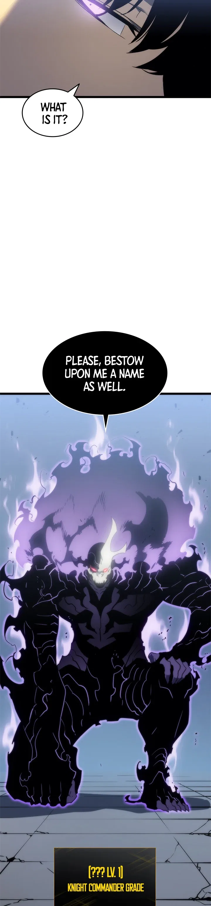 Solo Leveling Chapter 147 – Page 12
