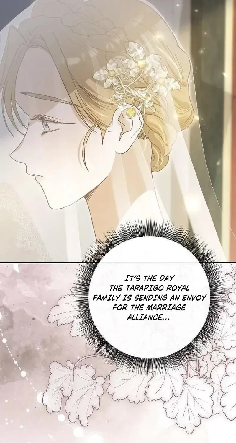 The Pirate’s Slave Bride Chapter 1 – Page 50