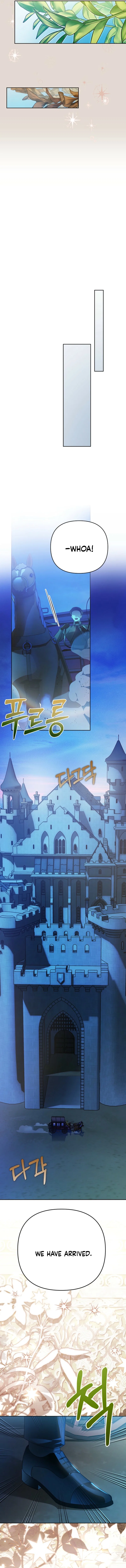 En Travesti: I Became a Fake Prince Chapter 22 – Page 19