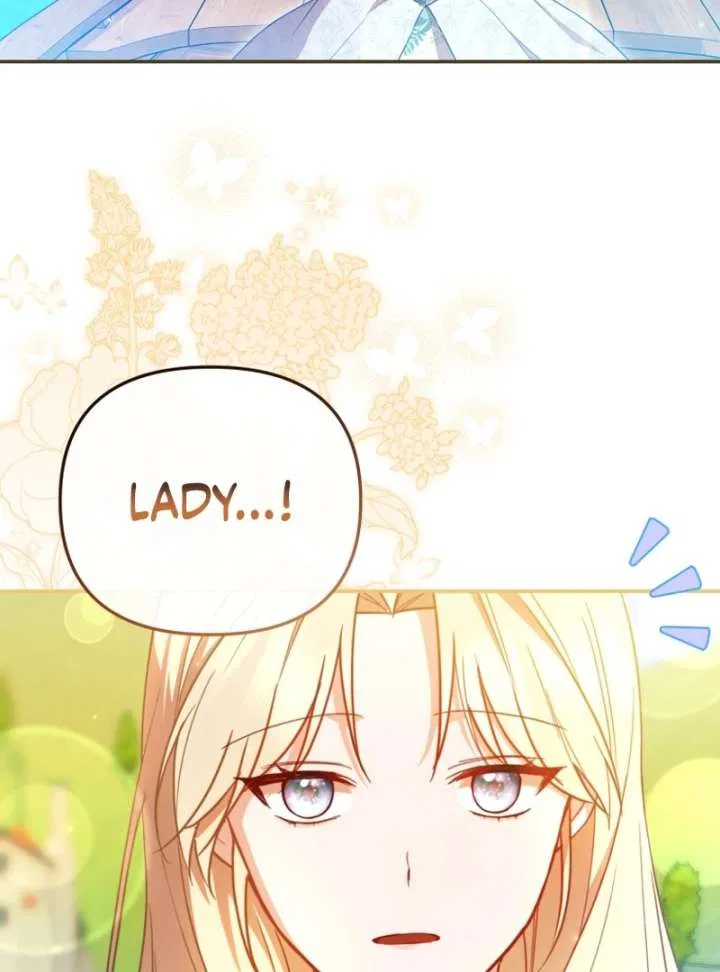 Even if I Hide My Power, the Noble Lady Is the Strongest Chapter 21 – Page 27