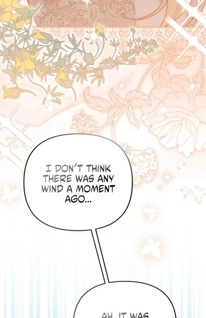 Even if I Hide My Power, the Noble Lady Is the Strongest Chapter 20 – Page 25