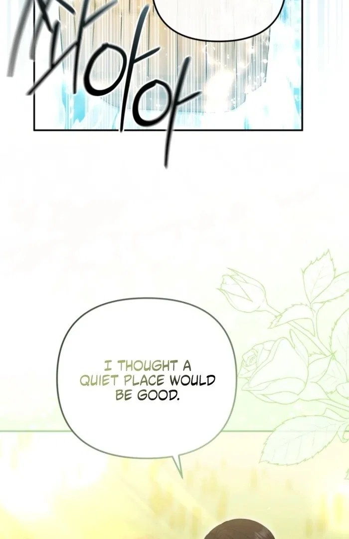 Even if I Hide My Power, the Noble Lady Is the Strongest Chapter 20 – Page 27