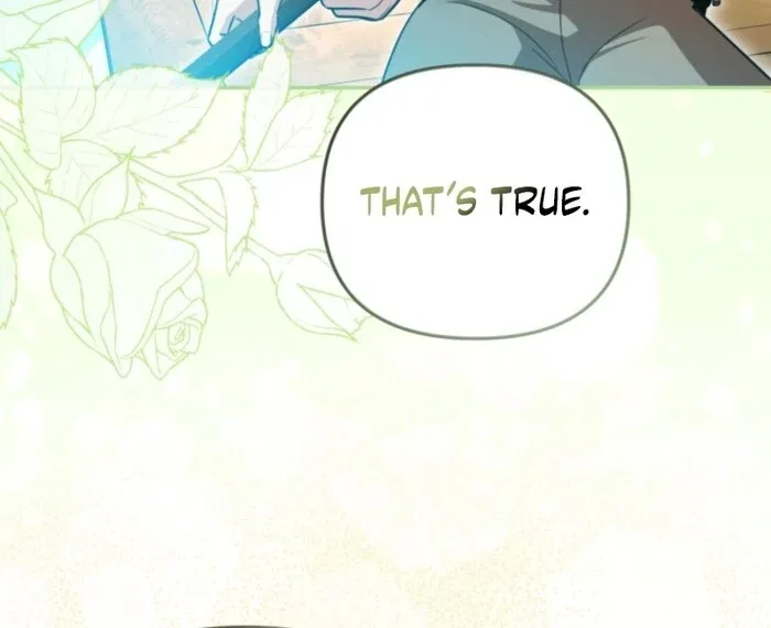 Even if I Hide My Power, the Noble Lady Is the Strongest Chapter 20 – Page 29