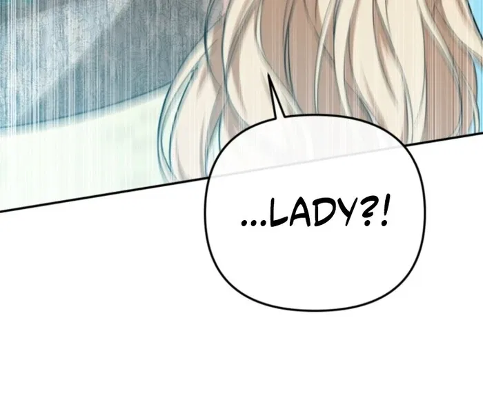 Even if I Hide My Power, the Noble Lady Is the Strongest Chapter 20 – Page 67