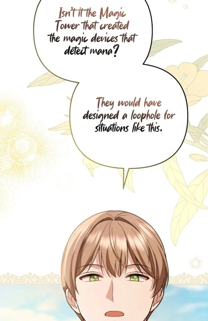 Even if I Hide My Power, the Noble Lady Is the Strongest Chapter 19 – Page 24