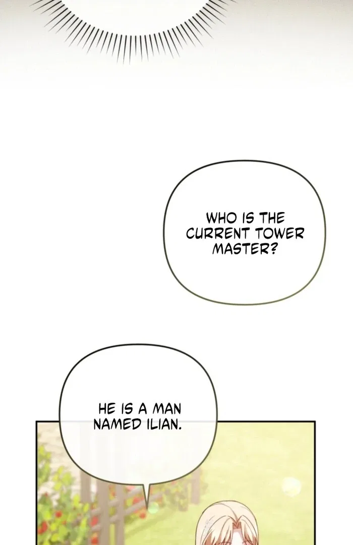 Even if I Hide My Power, the Noble Lady Is the Strongest Chapter 19 – Page 40