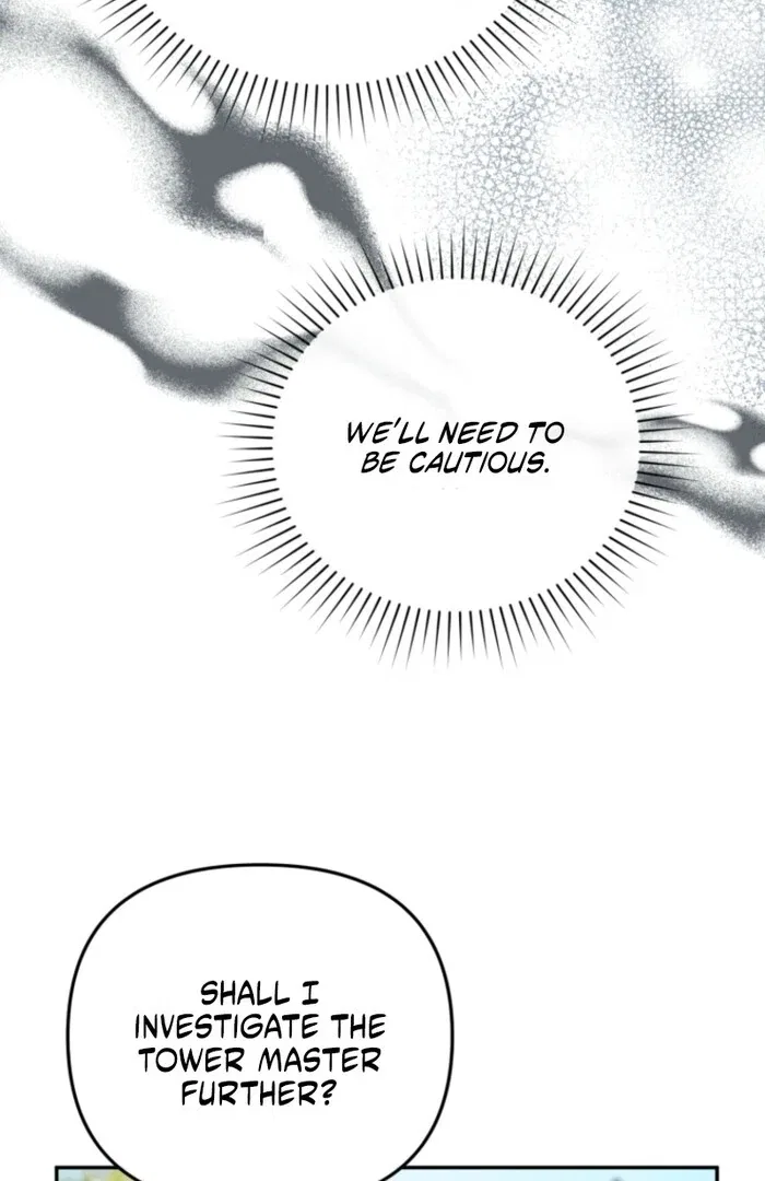 Even if I Hide My Power, the Noble Lady Is the Strongest Chapter 19 – Page 48