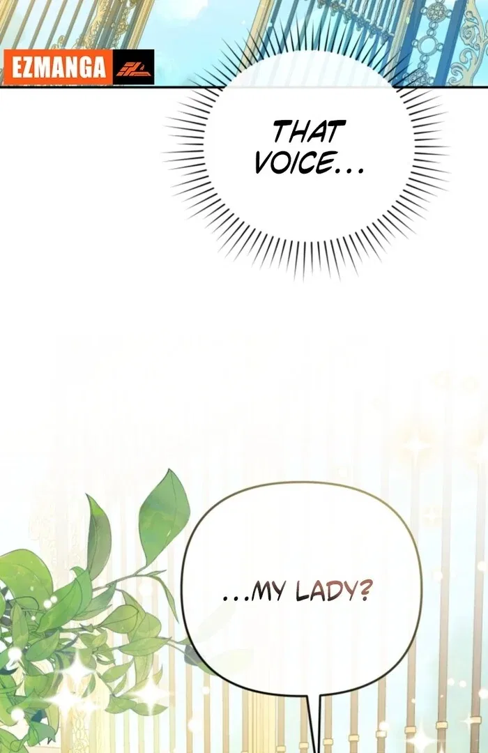 Even if I Hide My Power, the Noble Lady Is the Strongest Chapter 19 – Page 79
