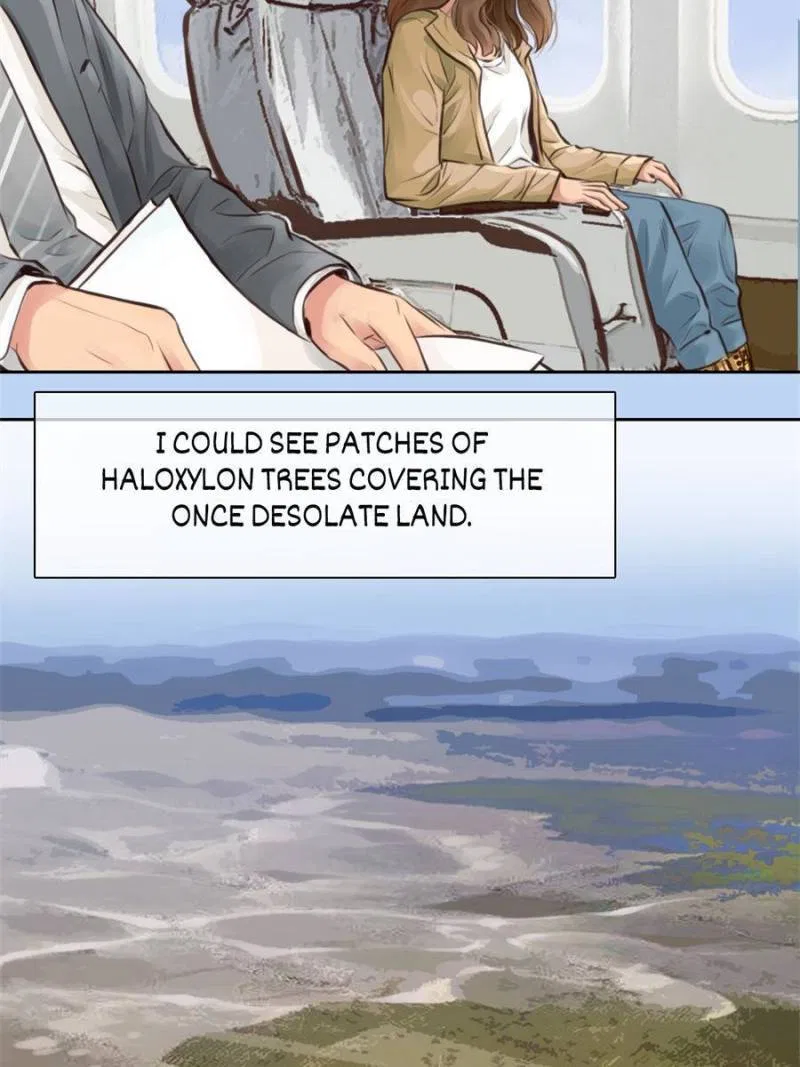 The Fake Beauty Chapter 132 – Page 3