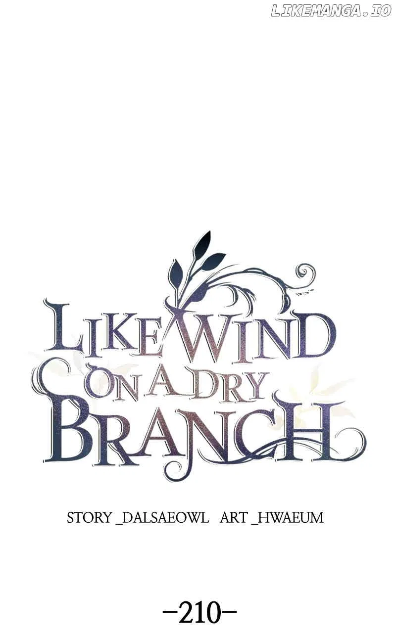 Like A Wind On A Dry Branch Chapter 212 – Page 1