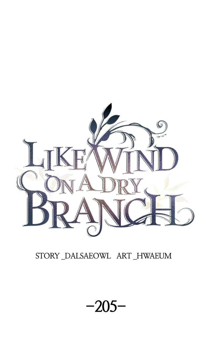 Like A Wind On A Dry Branch Chapter 207 – Page 1