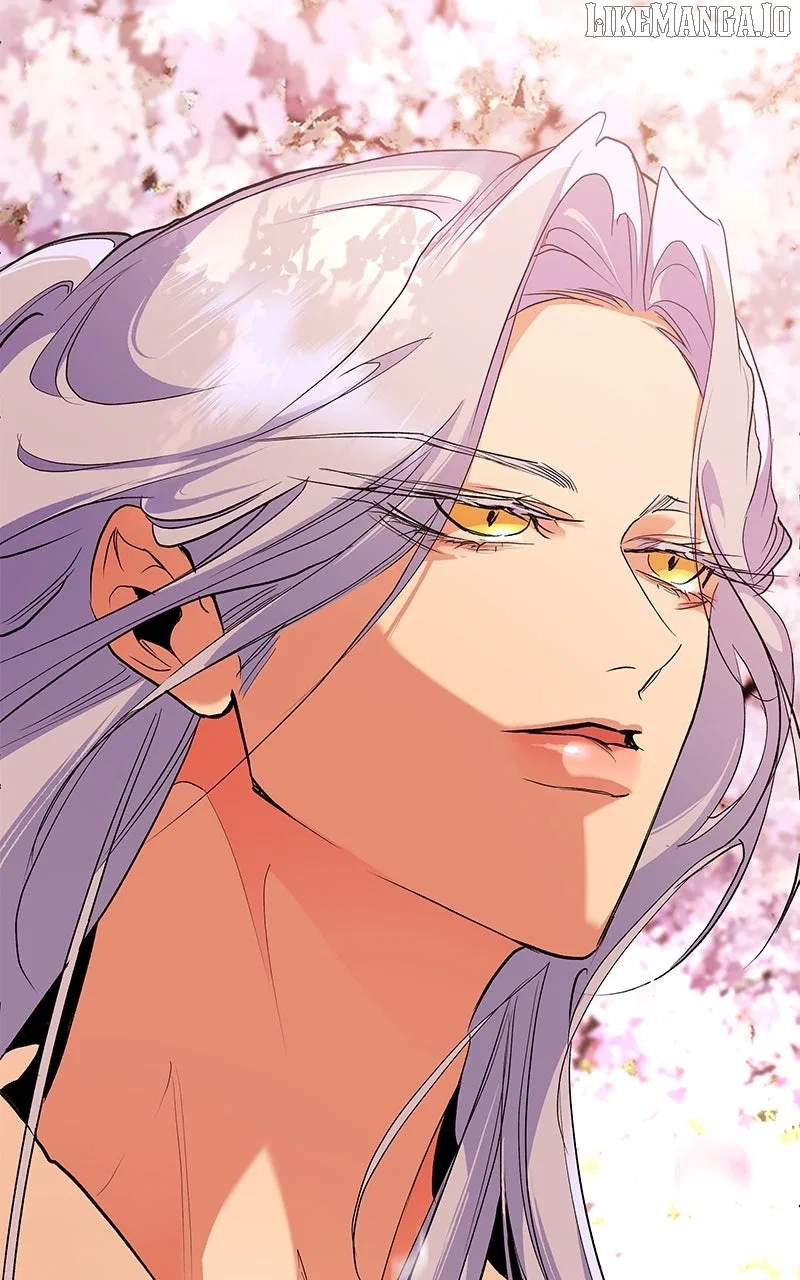 How a Goddess Wins Over Tigers Chapter 112 – Page 24