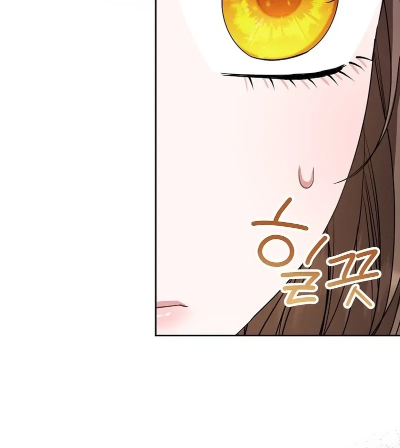 The Time-limited Extra Is Disguised as a Tutor in a Villain’s House Chapter 23 – Page 27