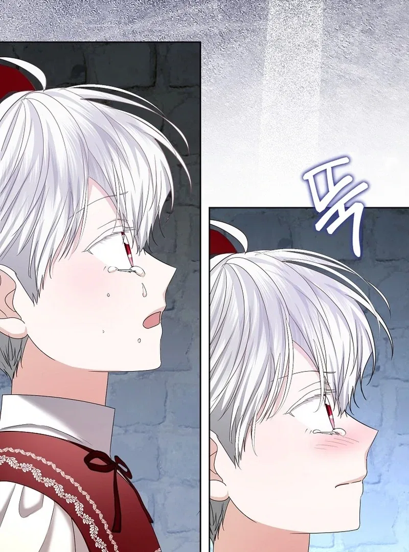 The Time-limited Extra Is Disguised as a Tutor in a Villain’s House Chapter 20 – Page 84