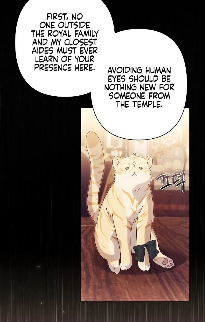 Monster Princess of the Snowy Mountain Chapter 50 – Page 10