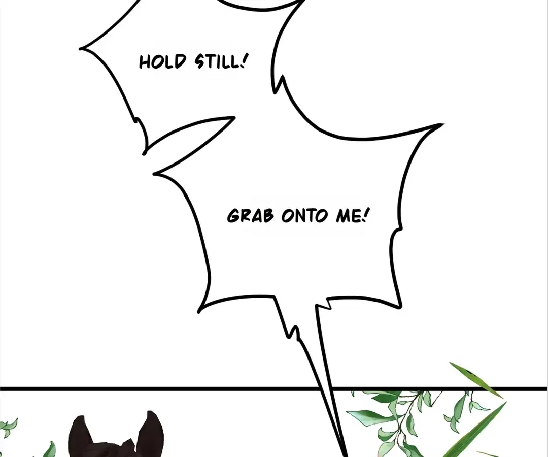 Dynastic Marriage: The Fallen and the Crowned Chapter 35 – Page 74