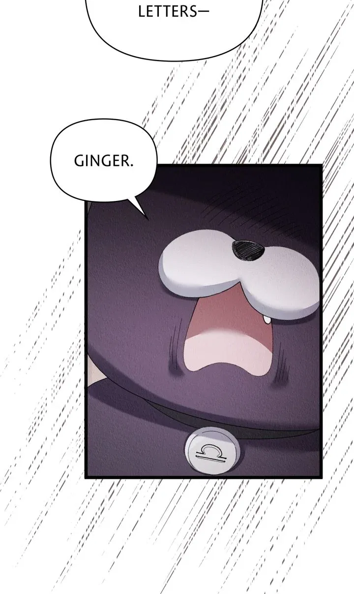 Dear, Not Cunning Witch Chapter 67 – Page 61