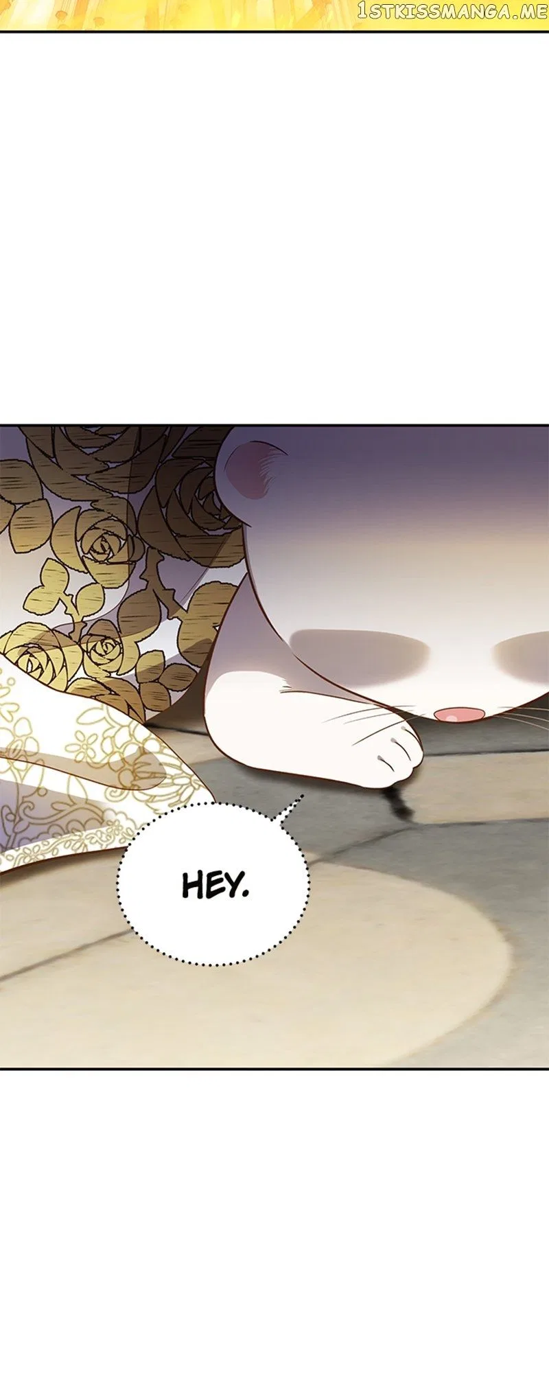 Death To The White Ferret Weasel Chapter 69 – Page 6