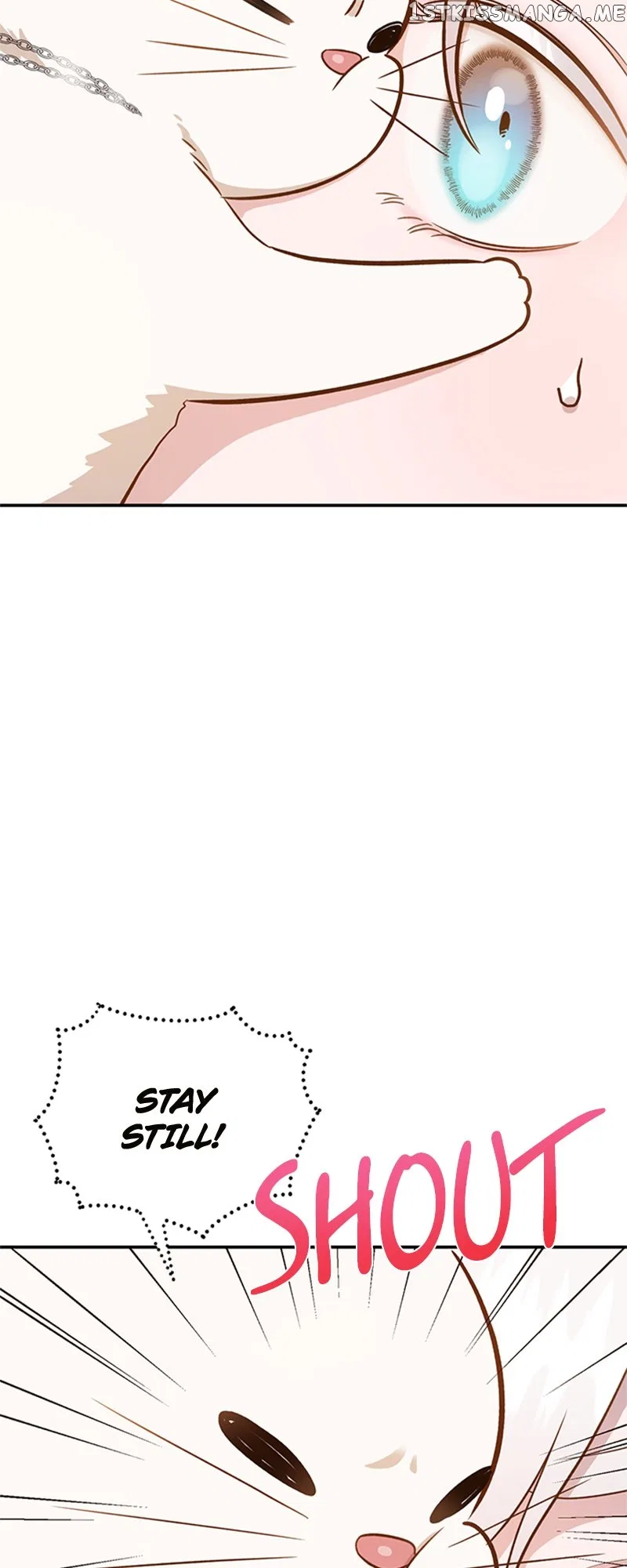 Death To The White Ferret Weasel Chapter 62 – Page 3