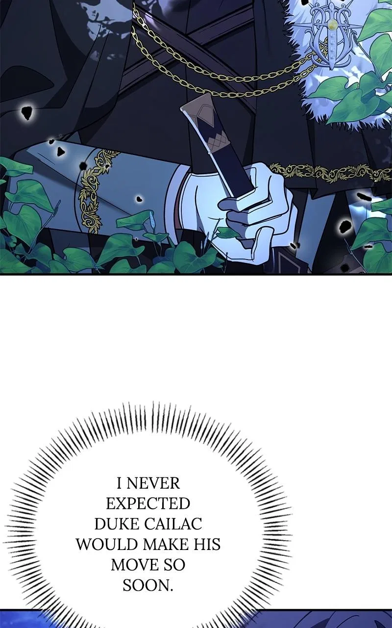 For The Princess Who Will Disappear Chapter 25 – Page 29