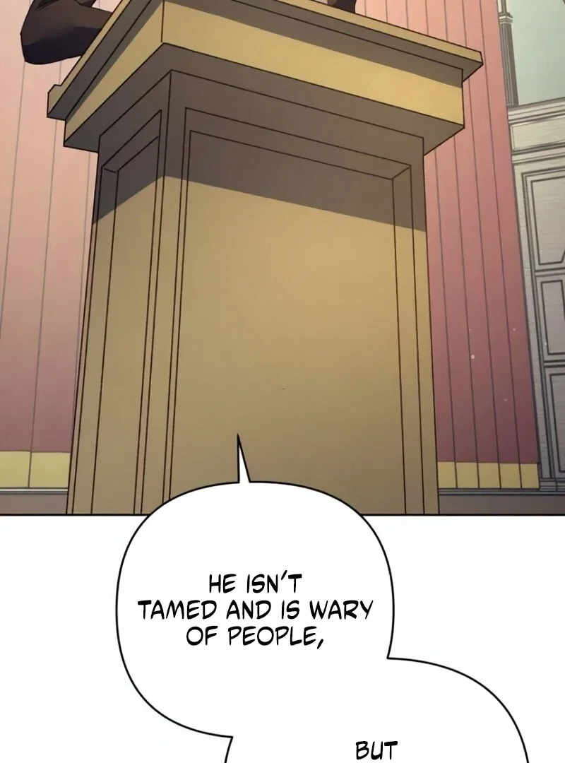 The Dark Duke’s Pet Bird Chapter 50 – Page 5