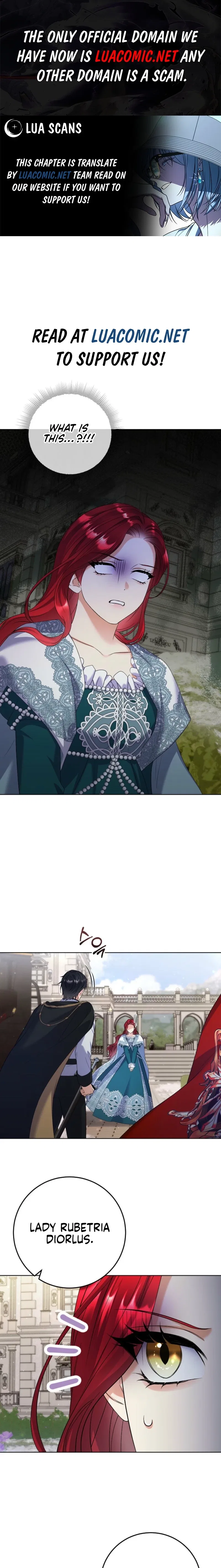 Celeb Lady Chapter 71 – Page 1