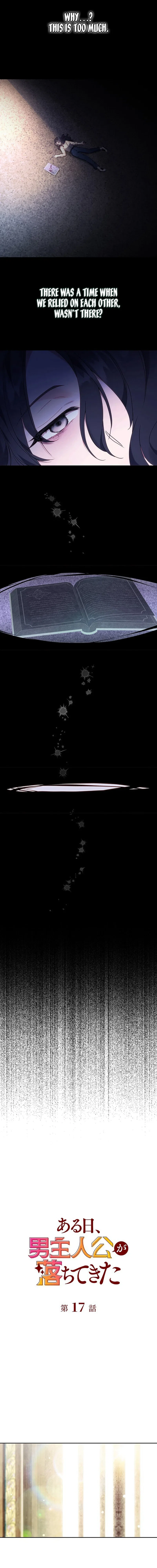 One Day, the Male Lead Fell From the Sky Chapter 17 – Page 5