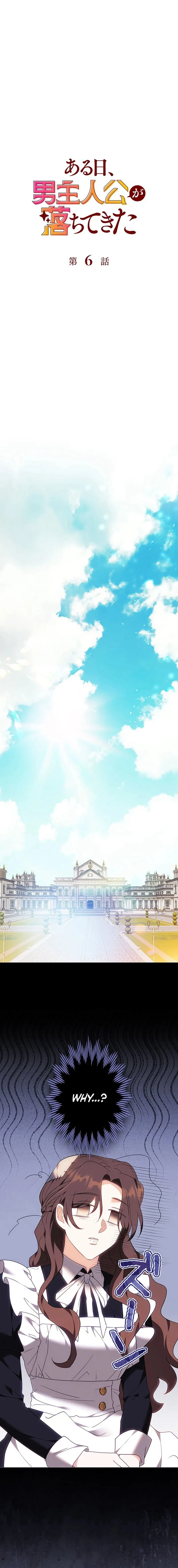 One Day, the Male Lead Fell From the Sky Chapter 6 – Page 11