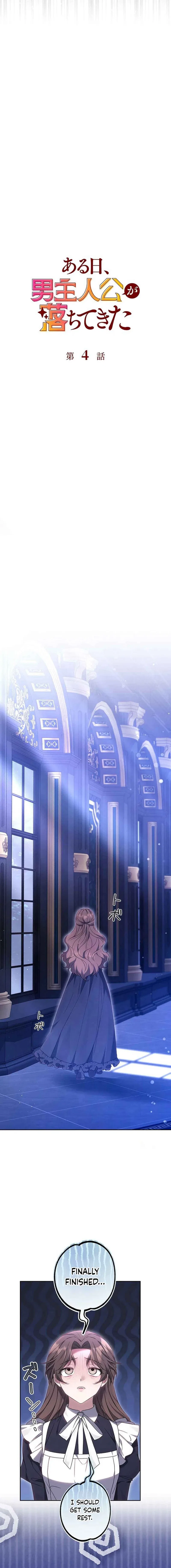 One Day, the Male Lead Fell From the Sky Chapter 4 – Page 8