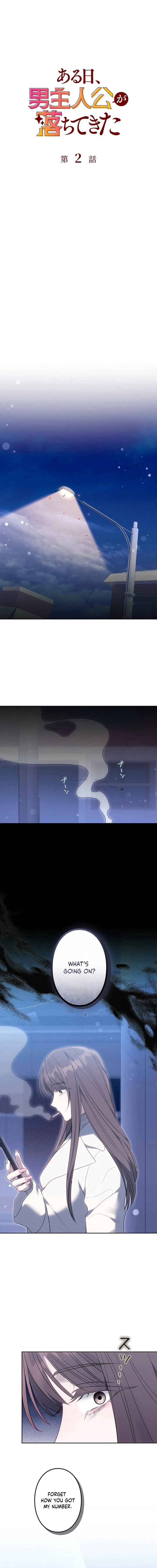 One Day, the Male Lead Fell From the Sky Chapter 2 – Page 10
