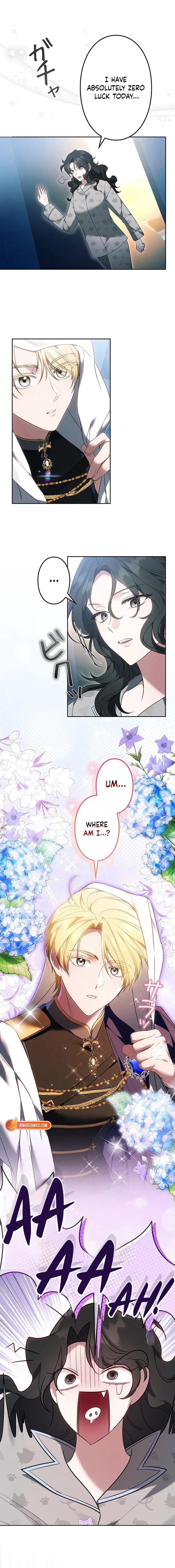 One Day, the Male Lead Fell From the Sky Chapter 1 – Page 4