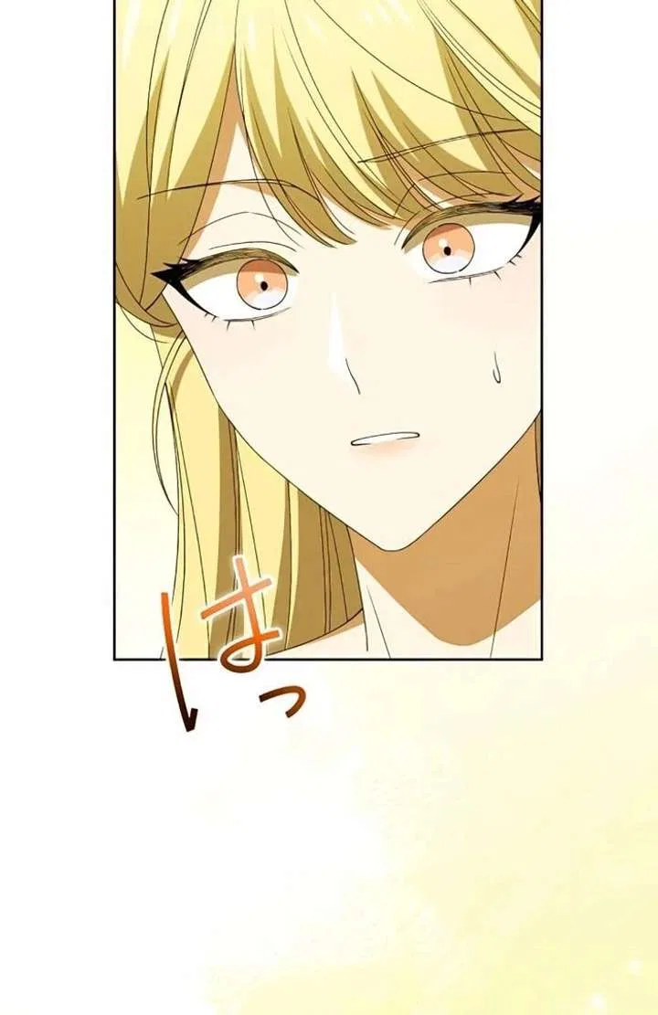 Don’t Obsess Over the Fake Princess! Chapter 13 – Page 64