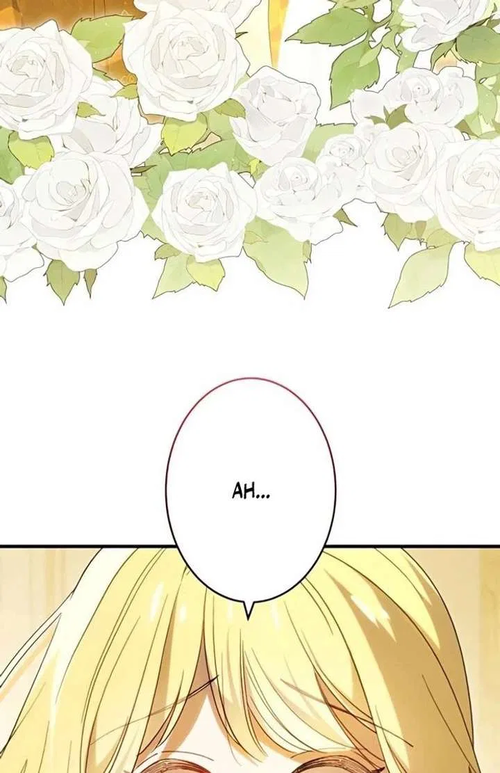 Don’t Obsess Over the Fake Princess! Chapter 13 – Page 66