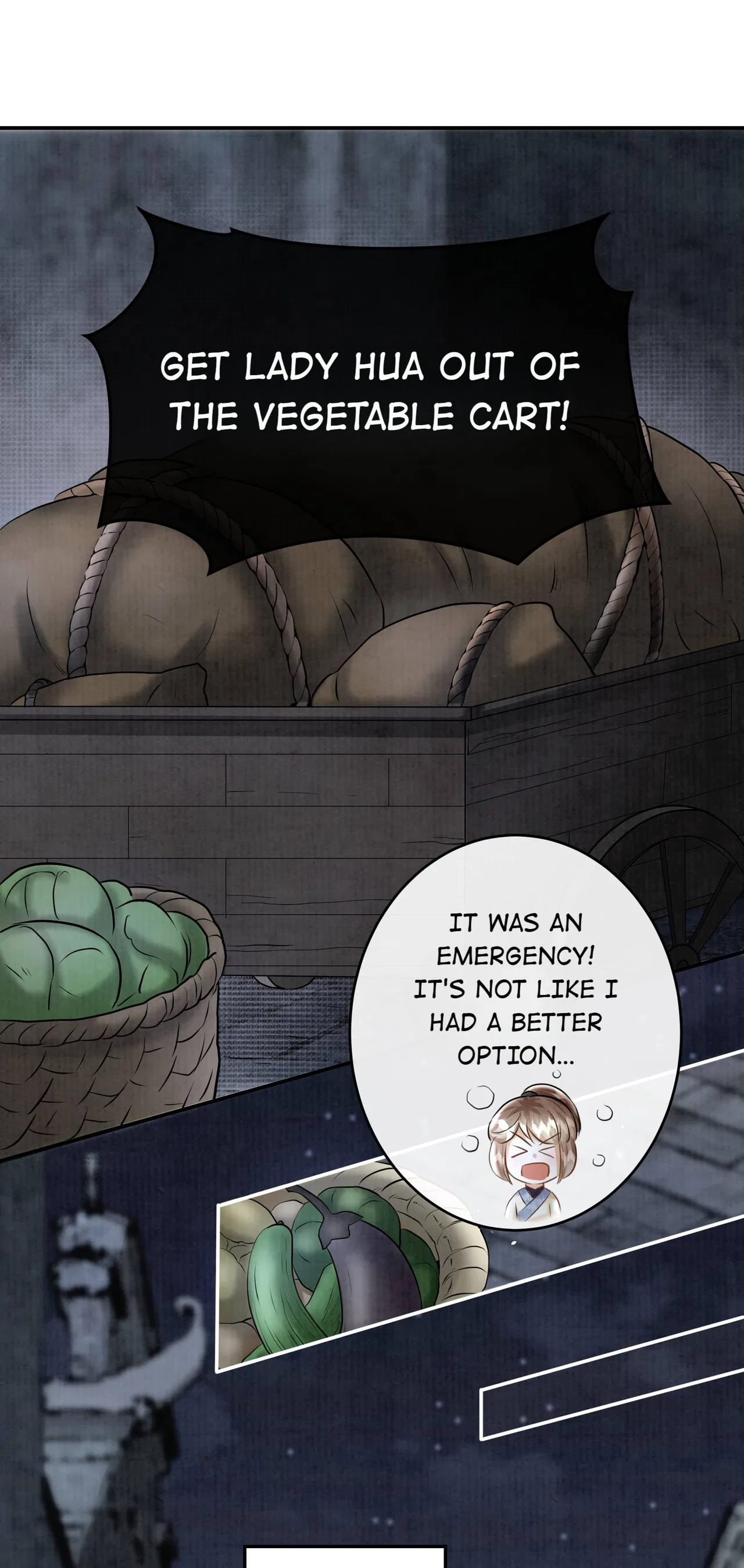 The Lady Locksmith of Mengliang Chapter 25 – Page 29
