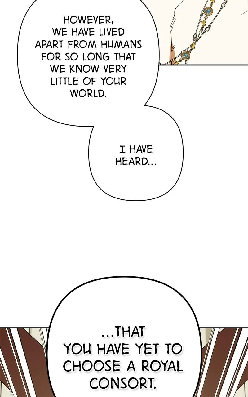 Men of The Harem Chapter 204 – Page 154