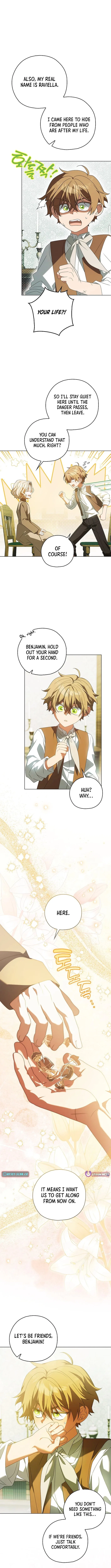 Looking For The Villainess’s Contract Husband Chapter 17 – Page 12