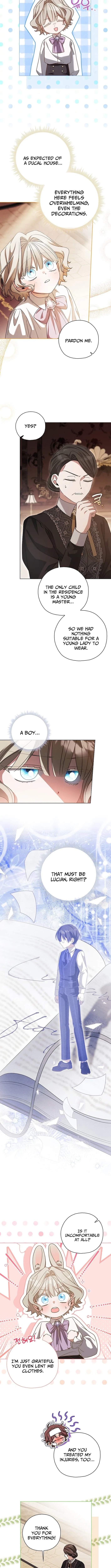 Looking For The Villainess’s Contract Husband Chapter 9 – Page 5