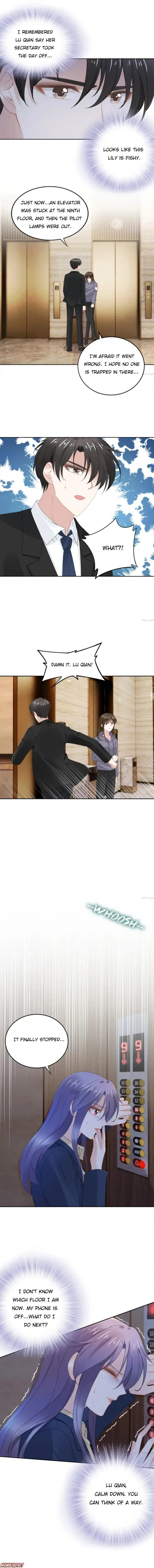 CEO QUAN, YOU WIFE IS GETTING AWAY! Chapter 224 – Page 3