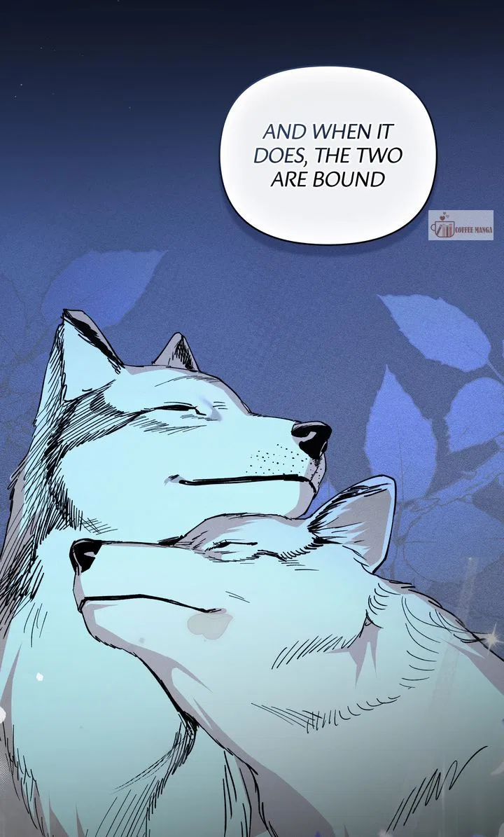 Werewolves Going Crazy over Me Chapter 66 – Page 47