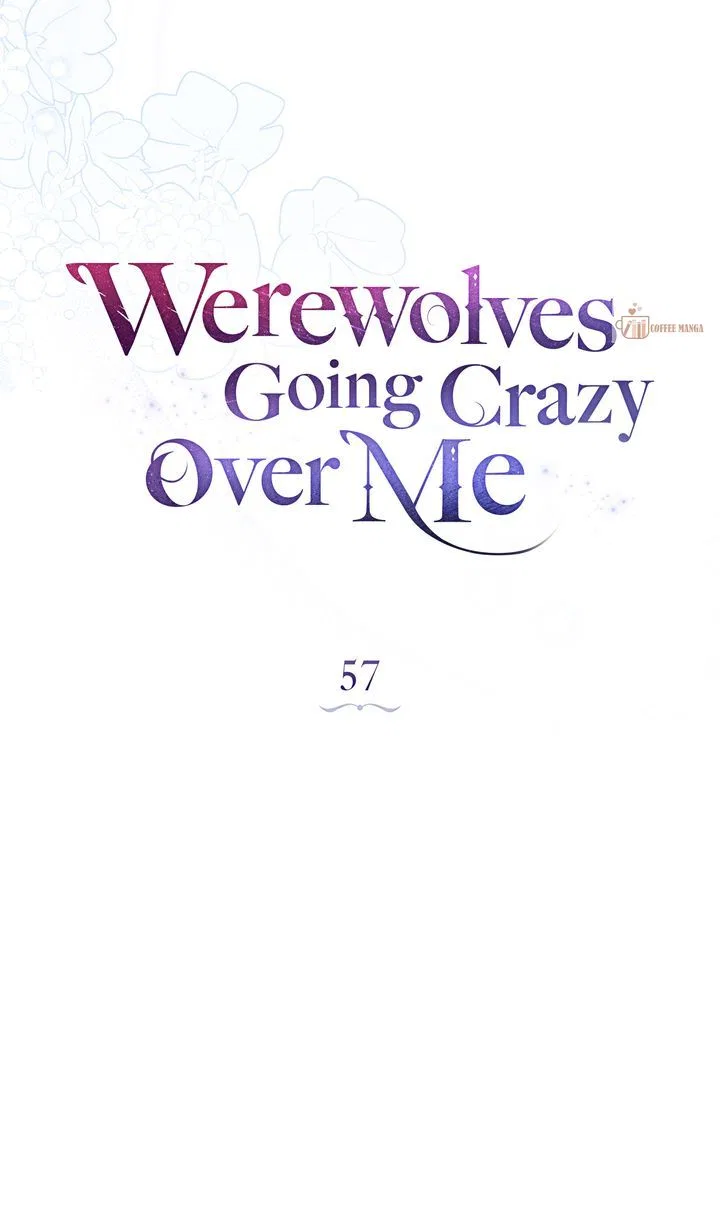 Werewolves Going Crazy over Me Chapter 57 – Page 43