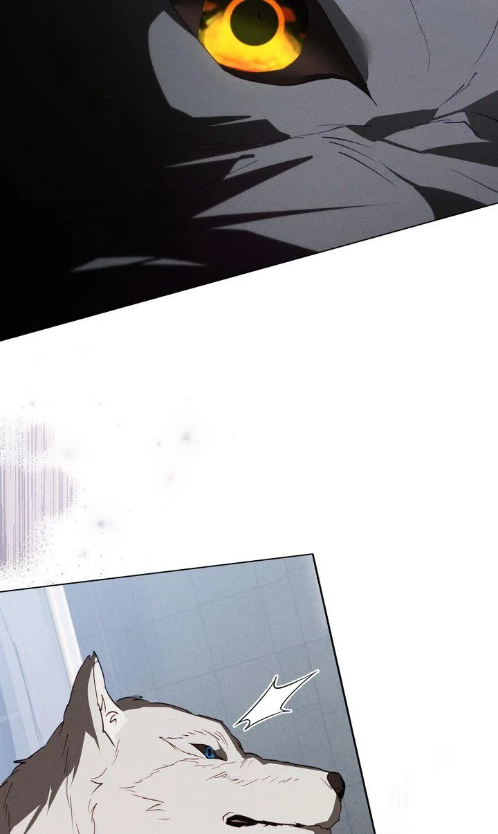 Werewolves Going Crazy over Me Chapter 56 – Page 35