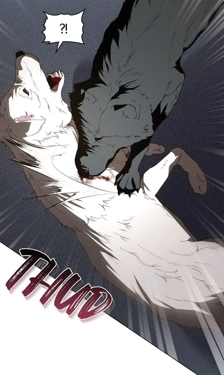 Werewolves Going Crazy over Me Chapter 56 – Page 44