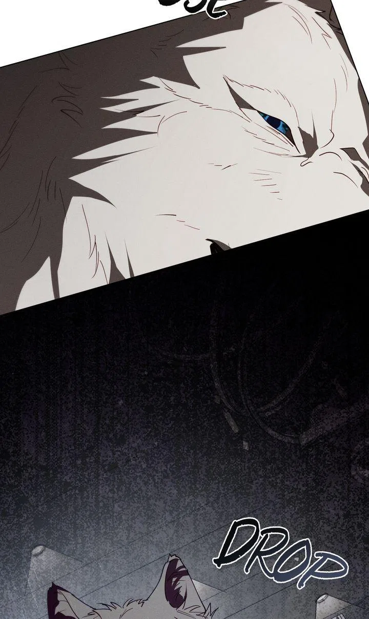 Werewolves Going Crazy over Me Chapter 56 – Page 51
